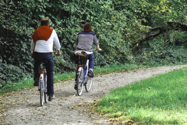 B&B Duivelshof Omgeving Fietsend Twente door